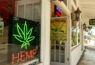 Florida Cannabis News