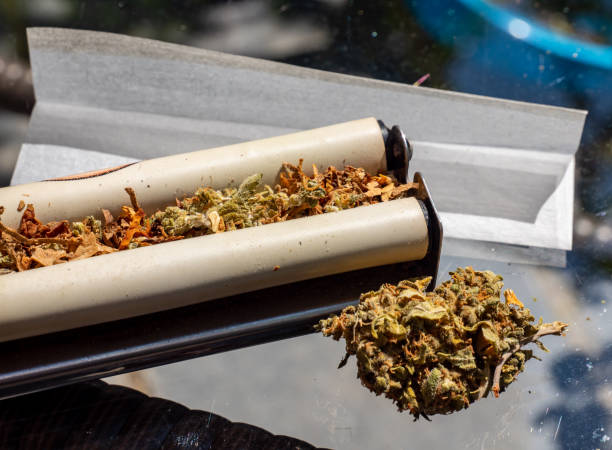 Cannabis