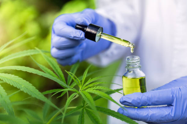 Cannabis Lab Screening